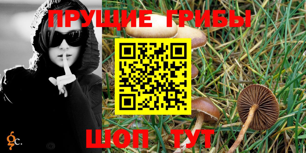 Череповец  Псилоцибиновые грибы MAGIC MUSHROOMS  Вход с VPN 